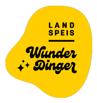 Wunderdinger Logo